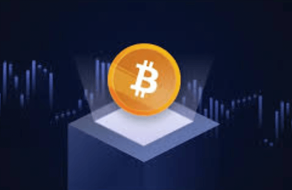 What Is a Cryptocurrency Whitepaper?